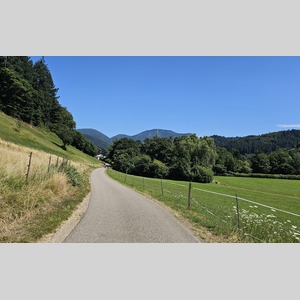 Der Schwarzwald