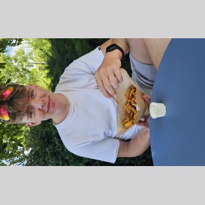 French fries