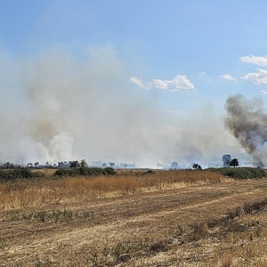 Fields on fire