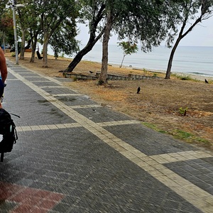 Beach in the rain