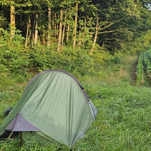 Green in green