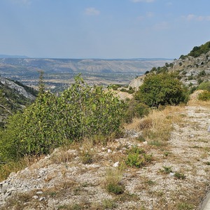 Level with castle