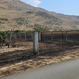 Wildfires everywhere