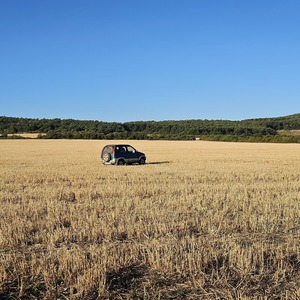 Farm patrol